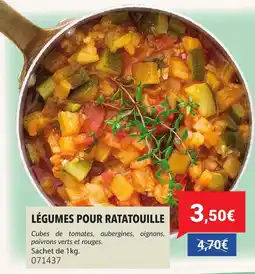 Gel 2000 Légumes pour ratatouille offre
