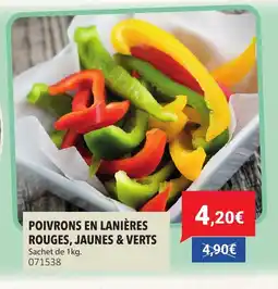 Gel 2000 Poivrons en lanières rouges, jaunes & verts offre
