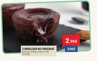 Gel 2000 2 moelleux au chocolat offre
