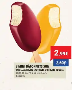 Gel 2000 8 mini bâtonnets sun offre
