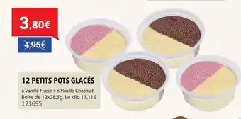 Gel 2000 12 petits pots glacés offre
