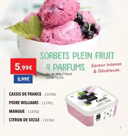 Gel 2000 Sorbets plein fruit 4 parfums offre