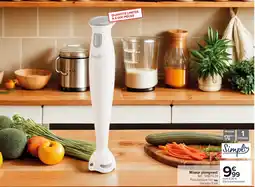 Carrefour Mixeur plongeant offre