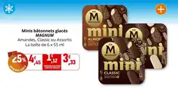 Coccinelle Express Minis bâtonnets glacés magnum offre