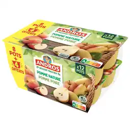 Carrefour ANDROS Desserts Fruitiers offre