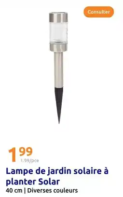 Action Solar - lampe de jardin solaire à planter offre