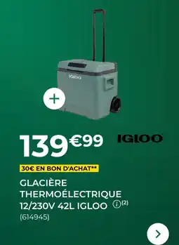 Feu Vert Glacière thermoélectrique 12/230v igloo offre