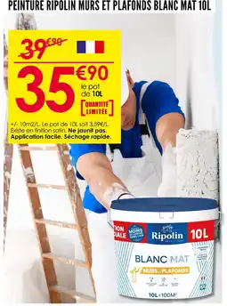 Décor Discount RIPLON Peinture murs et plafonds blanc mat 10L offre