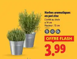 Lidl Herbes aromatiques en pot zinc offre
