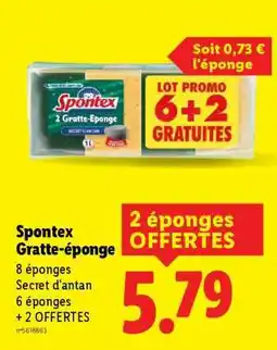 Lidl SPONTEX Gratte-éponge offre