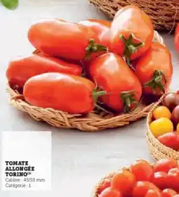 U Express Tomate allongée torino offre