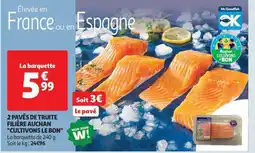 Auchan 2 Pavés De Truite Filière Auchan Cultivons Le Bon offre