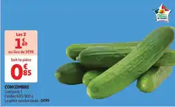 Auchan CONCOMBRE offre