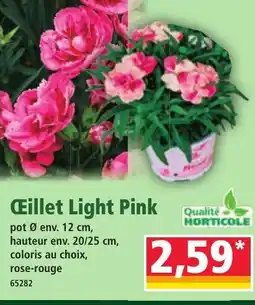 Norma Œillet Light Pink offre