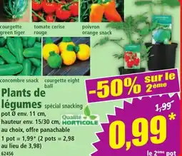 Norma Plants de légumes offre