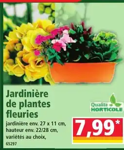 Norma Jardinière de plantes fleuries offre