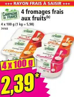Norma CAMPAGNE DE FRANCE 4 fromages frais aux fruits offre