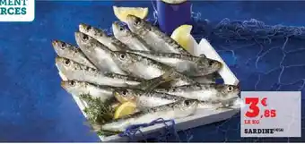 Super U Sardine offre