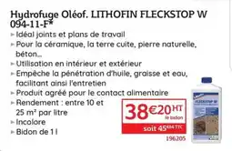 Quéguiner Hydrofuge Oléof. LITHOFIN FLECKSTOP W 094-11-F offre