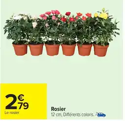 Carrefour Rosier offre