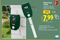Lidl Effaroucheur solaire offre