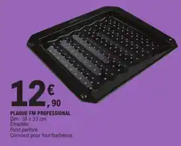 E.Leclerc PLAQUE FM PROFESSIONAL offre