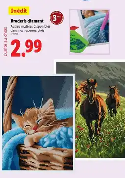 Lidl Broderie diamant offre