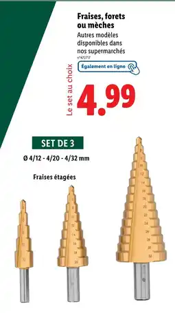 Lidl Parkside Fraises, forets ou mèches offre