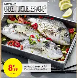 Intermarché Dorade royale offre