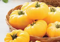 Super U Tomate cottelée jaune offre