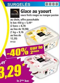 Norma Erhard Glace au yaourt sauce fruits rouges ou mangue passion offre