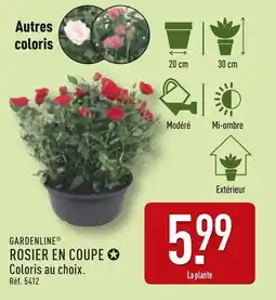 ALDI GARDENLINE Rosier en coupe offre