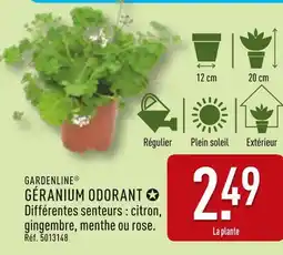 ALDI GARDENLINE Géranium odorant offre