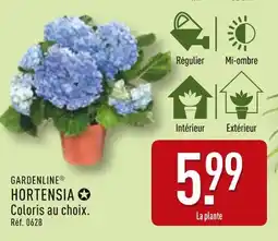 ALDI GARDENLINE HORTENSIA offre