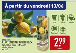 ALDI GARDENLINE PLANTE MÉDITERRANÉENNE offre