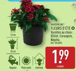 ALDI GARDENLINE Fleurs d'été offre