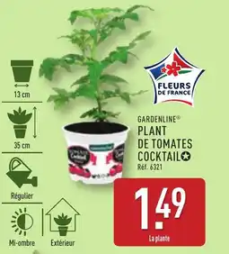 ALDI GARDENLINE Plant de tomates cocktail offre