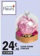 Cloche pivoline stabilisée