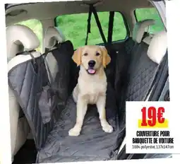 L'incroyable Couverture pour banquette de voiture offre