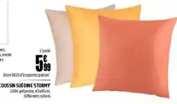 L'incroyable Coussin suédine 'stormy' offre
