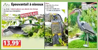 Norma Épouvantail à oiseaux offre