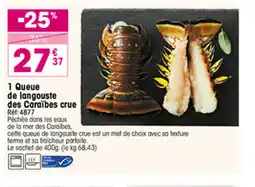 Croque Gel 1 Queue de langouste des Caraïbes crue offre