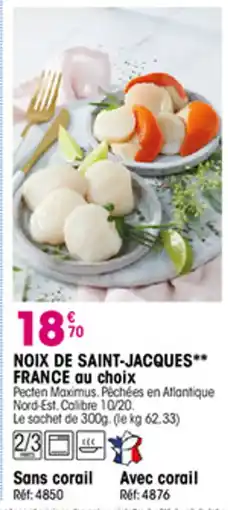 Croque Gel Noix de saint-jacques offre