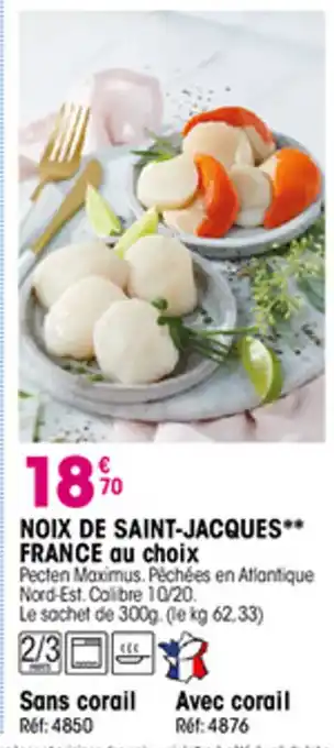 Croque Gel Noix de saint-jacques offre