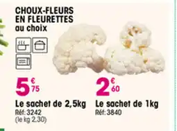 Croque Gel Choux-fleurs en fleurettes offre