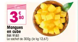 Croque Gel Mangues en cube offre