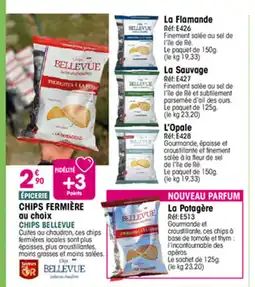 Croque Gel Chips fermière offre