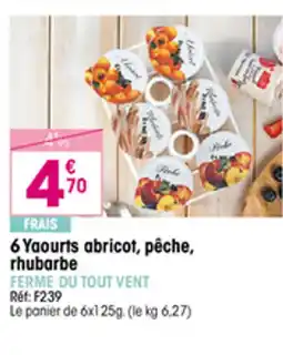 Croque Gel 6 Yaourts abricot, pêche, rhubarbe offre