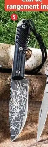 Norma Couteau offre
