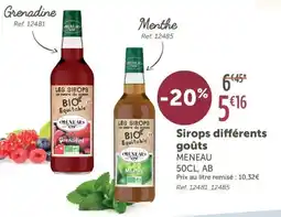 L'Eau Vive MENEAU Sirops différents goûts offre
